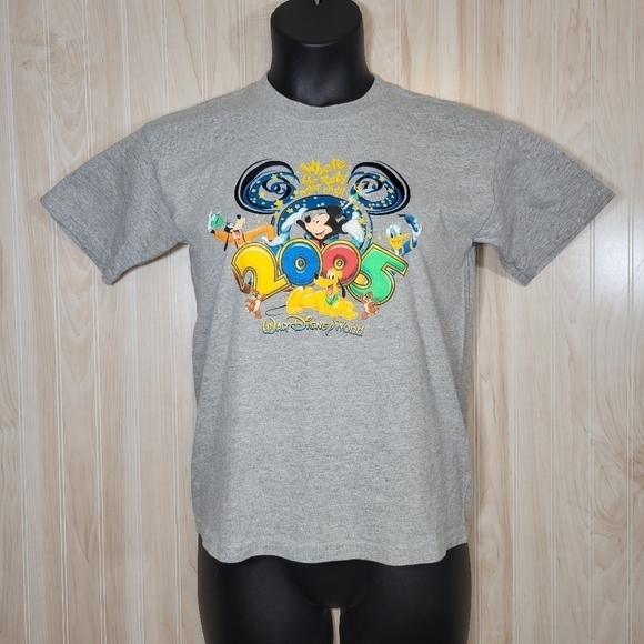 Walt Disney World 2005 Kid’s Park T-shirt Sz Unisex Lg - Picture 1 of 4